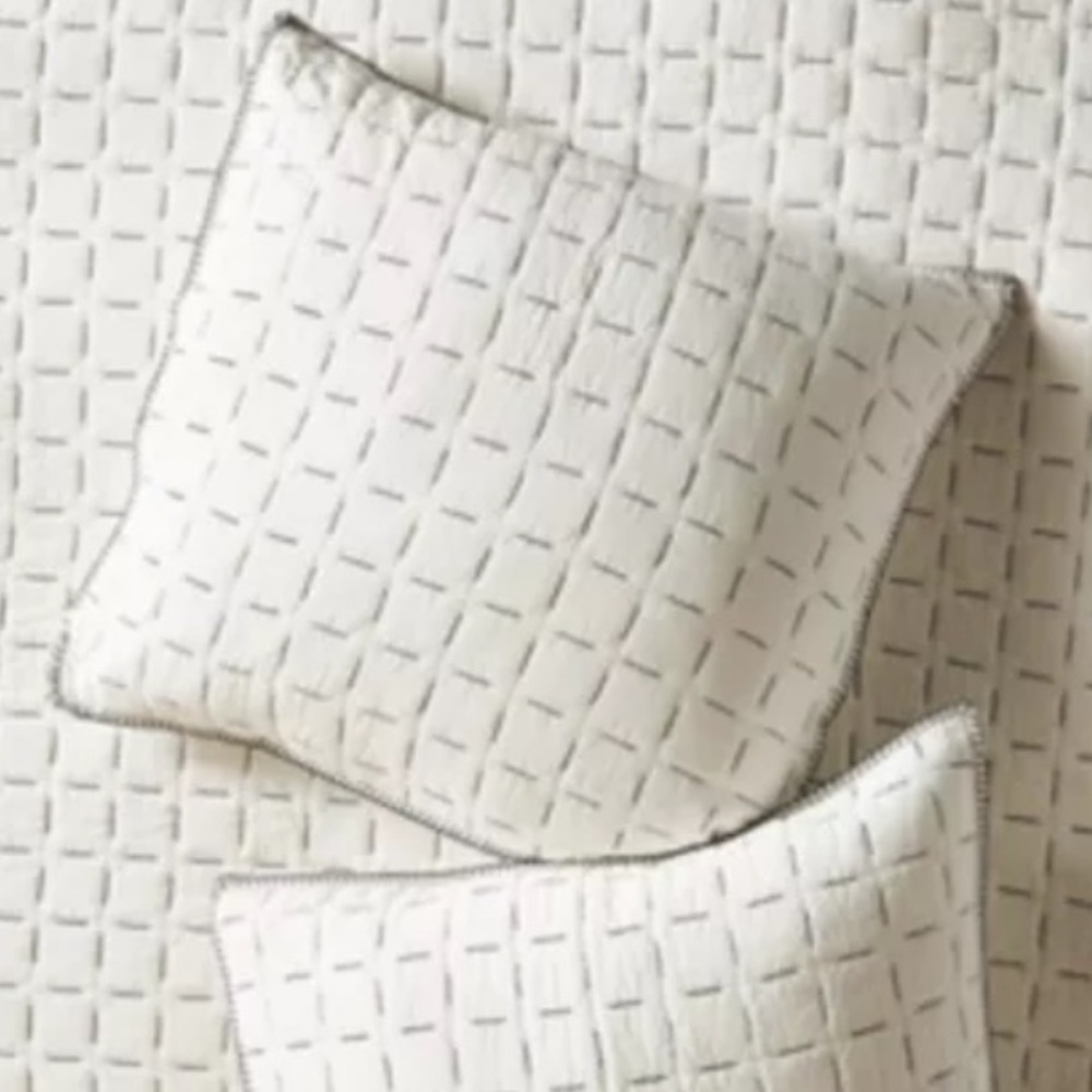 Anthropologie Kantha Juliette Euro shams, black and white, 26”